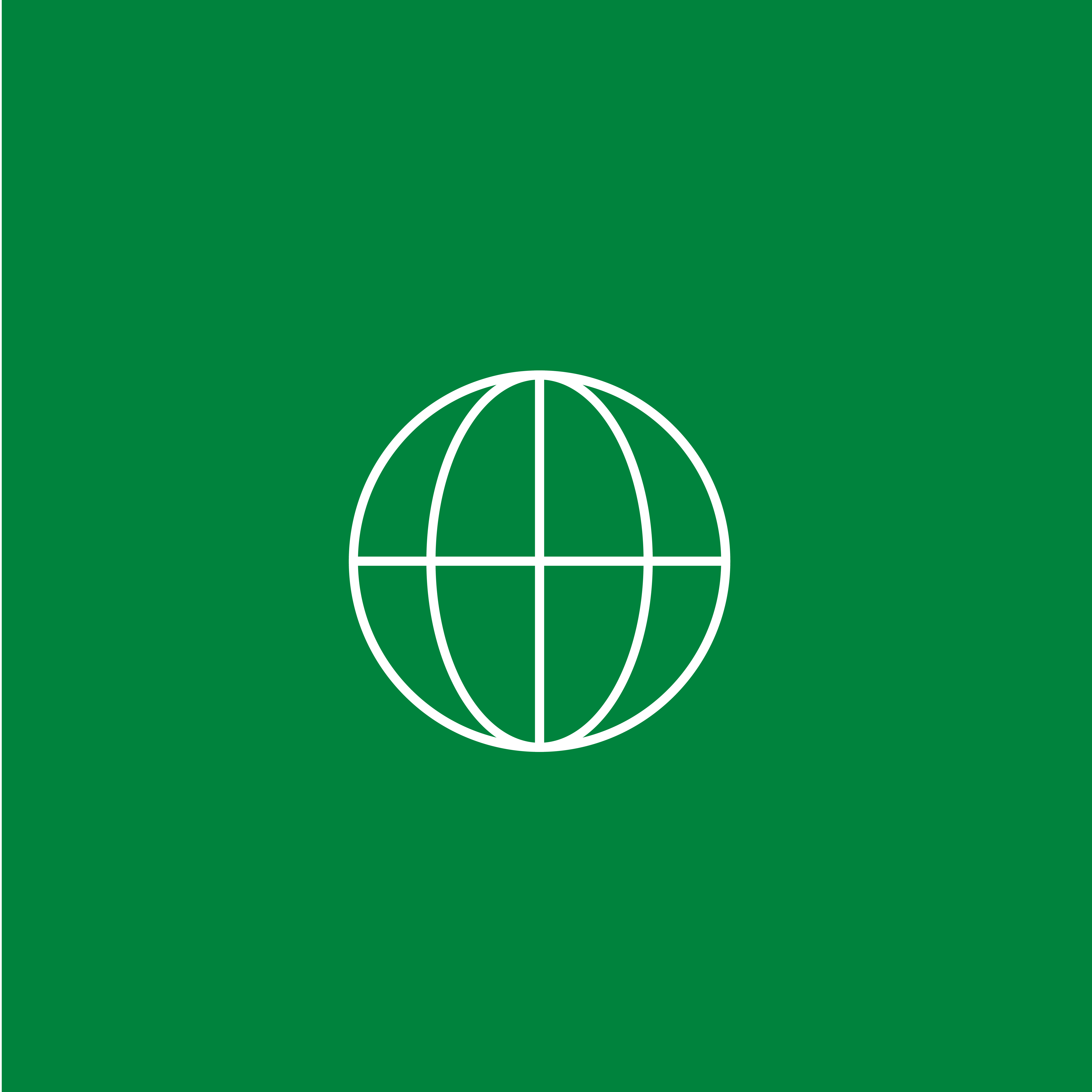 Icona di un globo stilizzato bianco su sfondo verde, con linee equatoriali e meridiani che rappresentano la Terra.