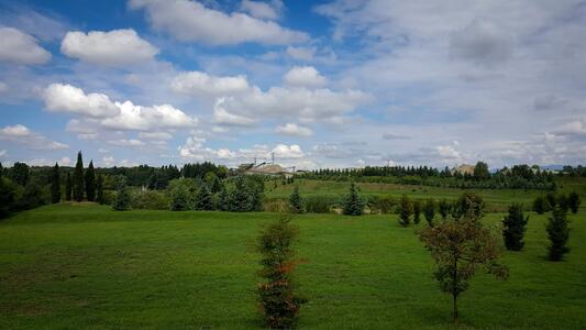 Un paesaggio verde con alberi, colline e un cielo parzialmente nuvoloso.